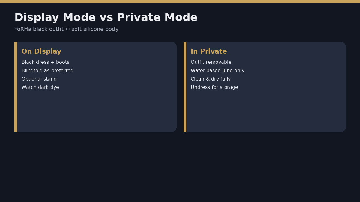 2B doll display outfit mode versus private adult use mode